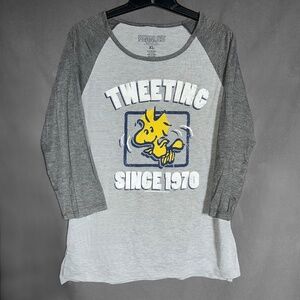Peanuts Woodstock Gray Ragland T-Shirt